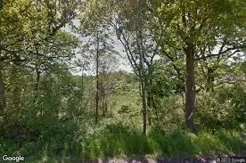 a view of a forest with lush green forest