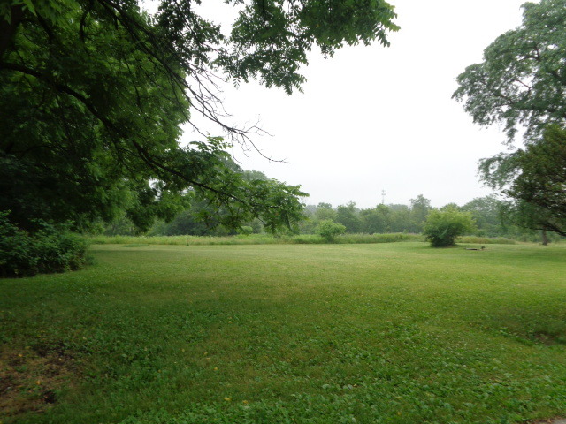 3523 West Long Grove Road Long Grove, IL 60047 - Photo 5 of 23 a view of a lake with a yard