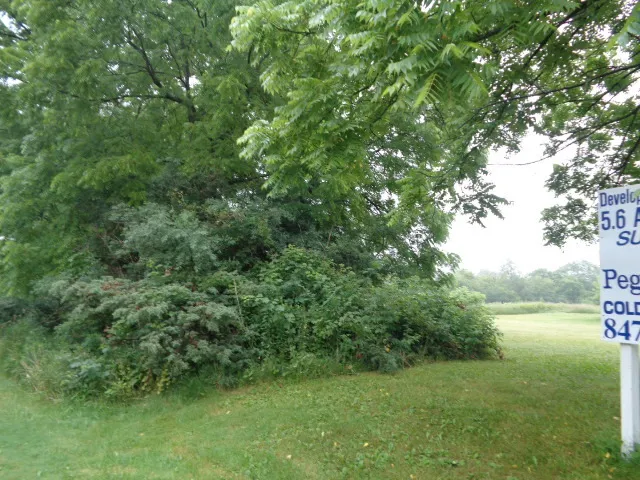 a view of a green yard