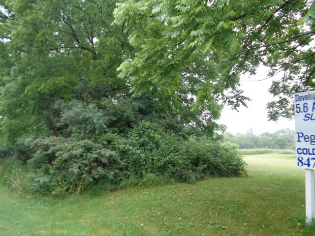 3523 West Long Grove Road Long Grove, IL 60047 - Photo 6 of 23 a view of a green yard