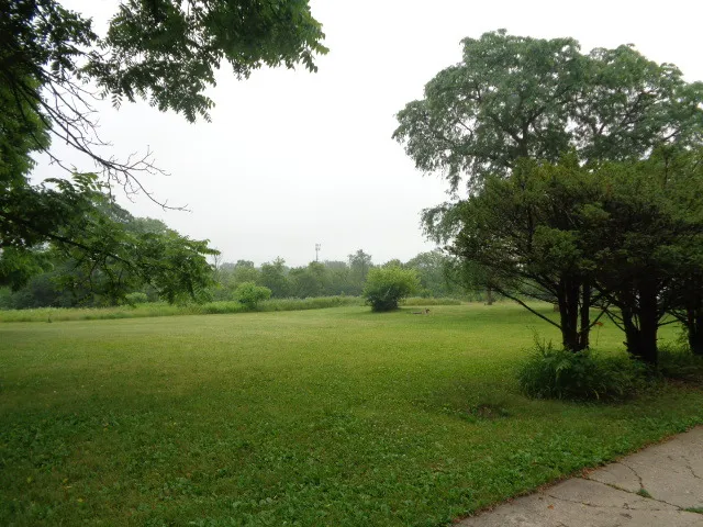 a view of a field with a tree