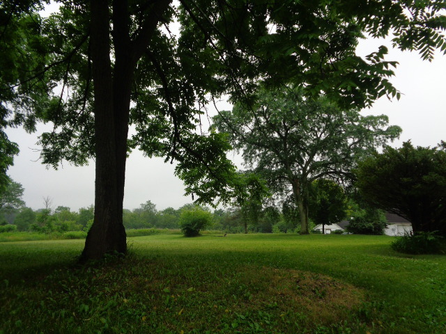 3523 West Long Grove Road Long Grove, IL 60047 - Photo 8 of 23 a view of a trees