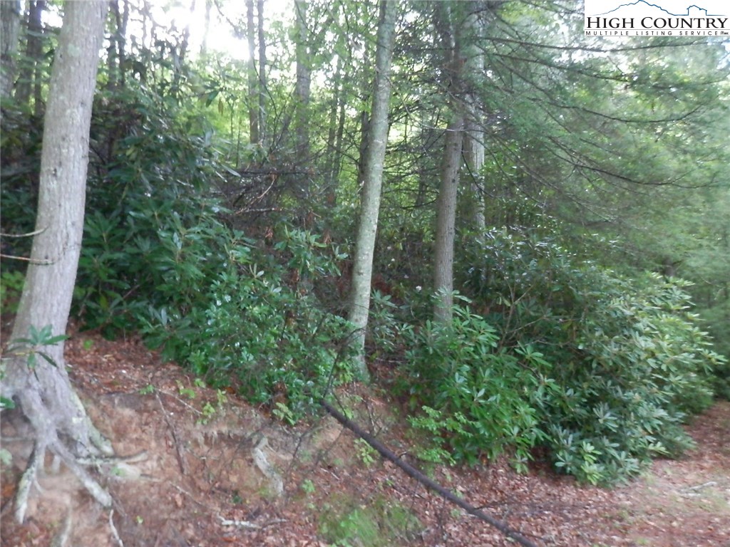 Lue Jones Road Warrensville, NC 28693 - Photo 2 of 9 Gallery Image 2