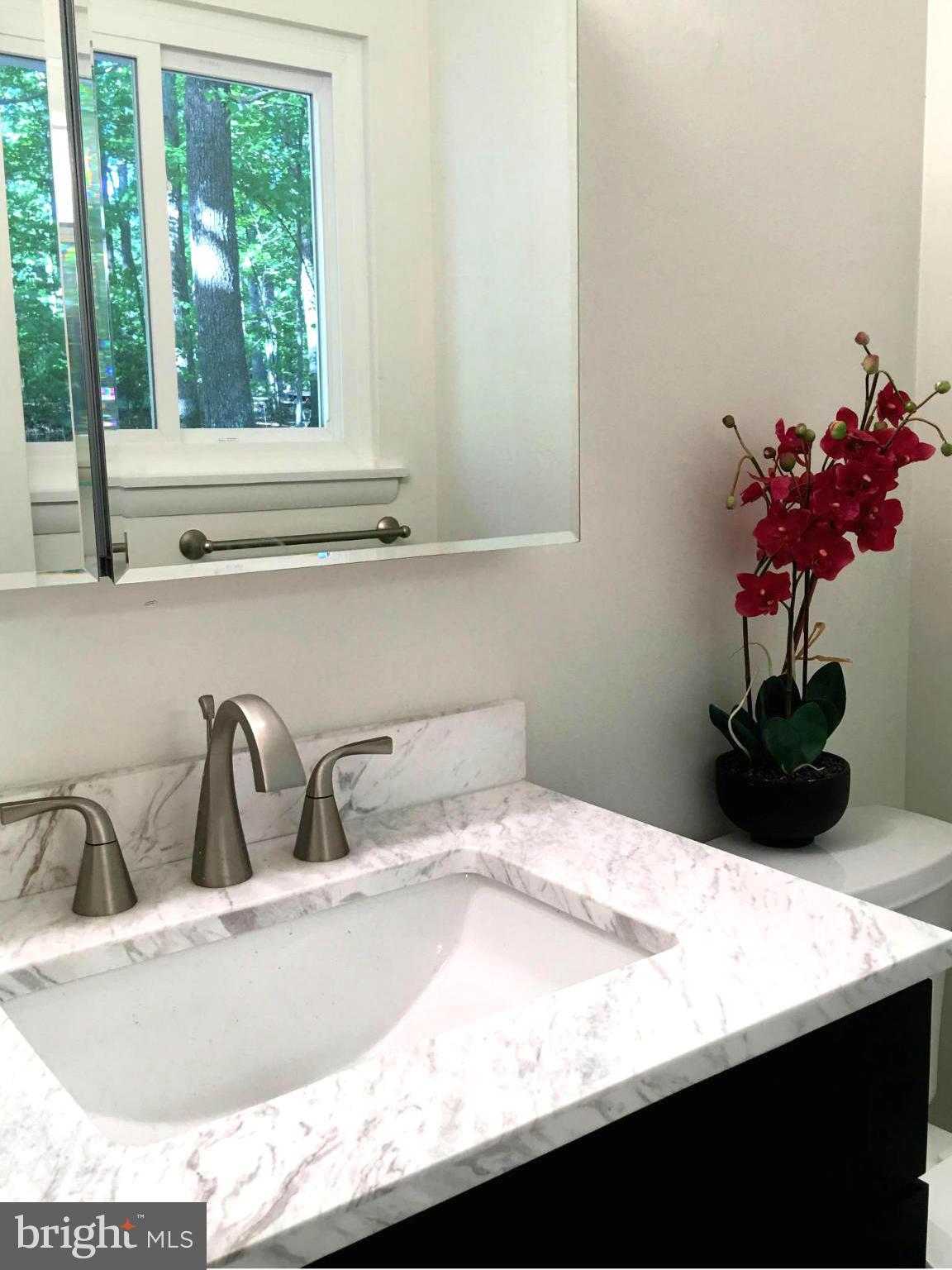105 Gold Valley Road Locust Grove, VA 22508 - Photo 14 of 20 Bath (Master)
