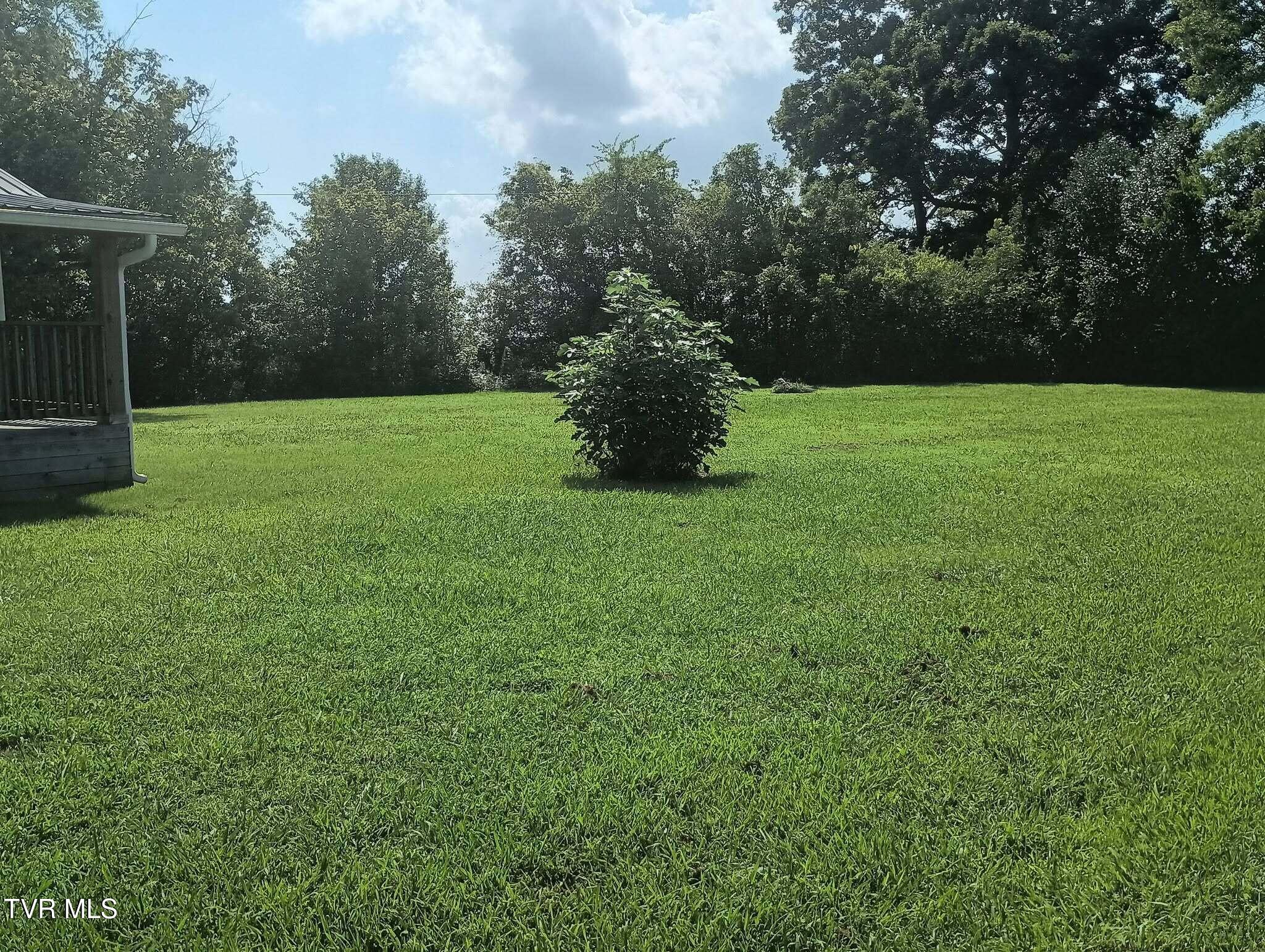 230 Mohawk Creek Road Midway, TN 37809 - Photo 10 of 35 Side Yard