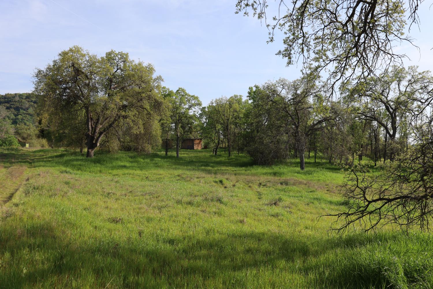 10 Douglas Road South Coarsegold, CA 93614 - Photo 26 of 29 Gallery Image 26