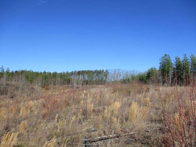 220 Bus Road Stoneville, NC 27048 - Photo 9 of 40 Gallery Image 9