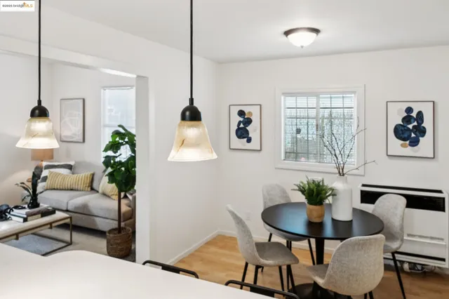 a living room with furniture potted plant and a window