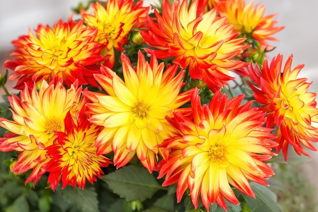 96 Indian Hill Road Worcester, MA 01606 - Photo 15 of 42