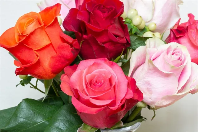 $525,000 | 96 Indian Hill Road, Worcester, MA 01606