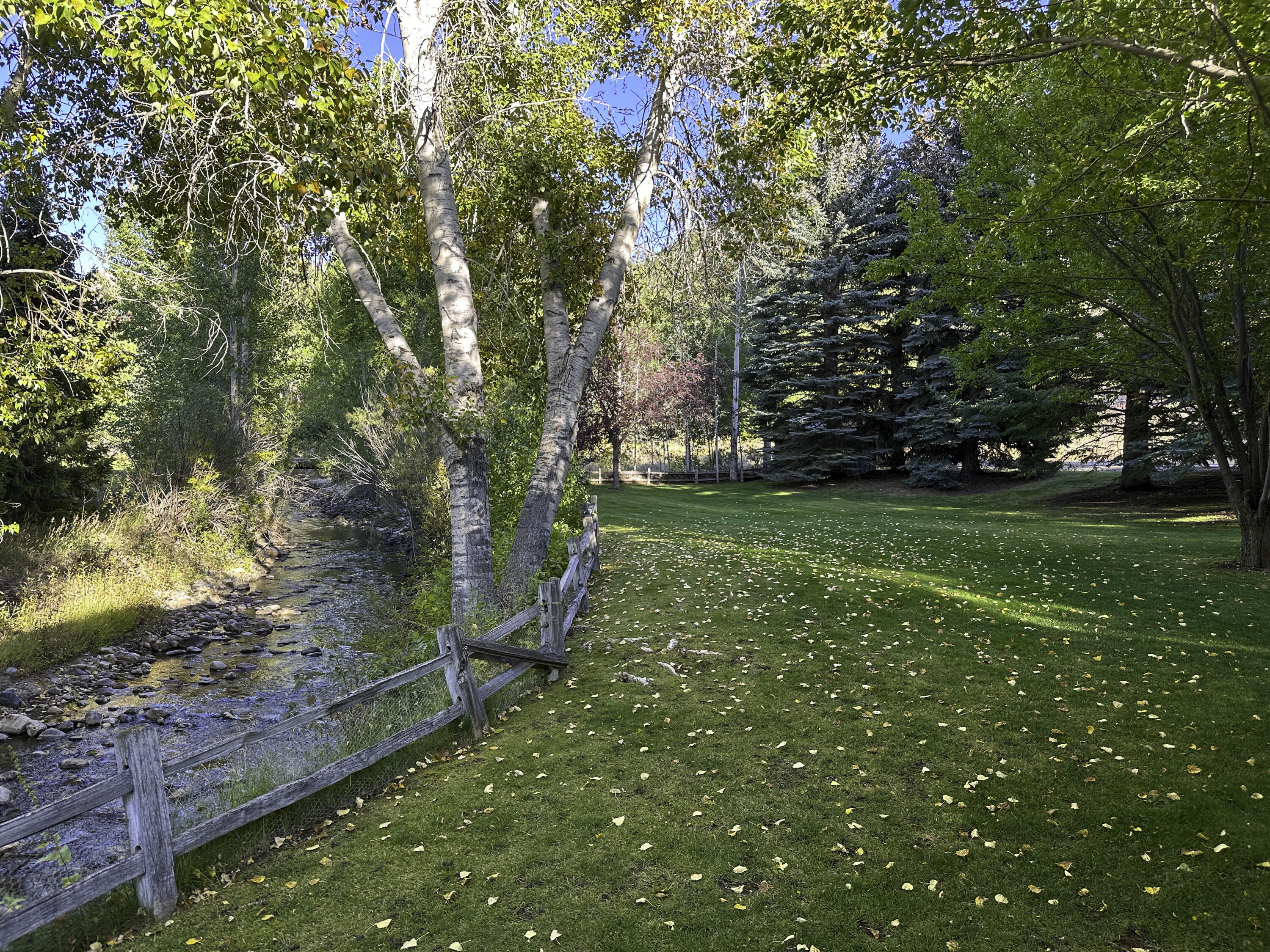 233 Timberline Road Blaine County, ID 83333 - Photo 24 of 25 Yard in the Fall.