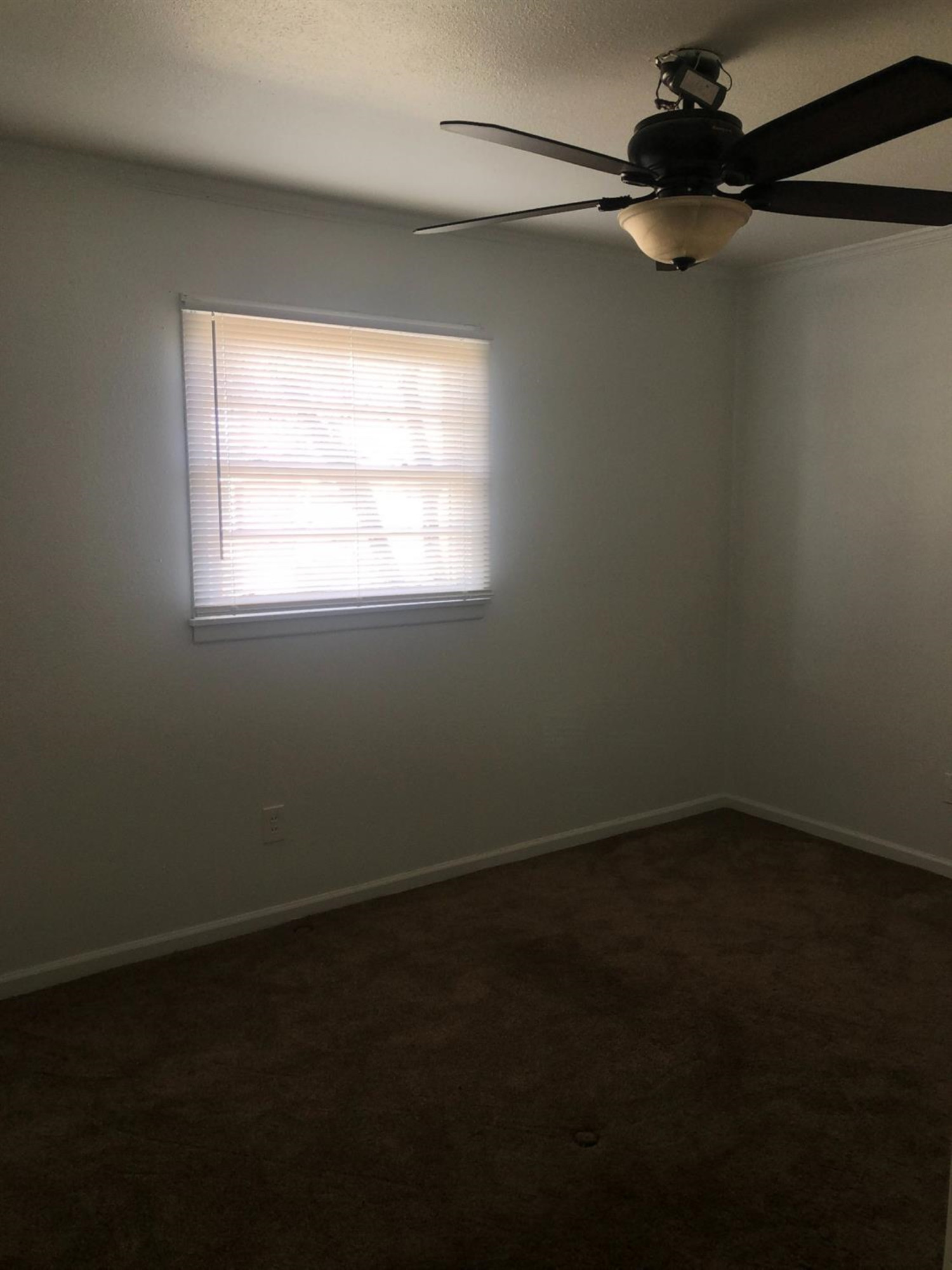 2104 East 29th Street Lubbock, TX 79404 - Photo 9 of 13 Photo 9