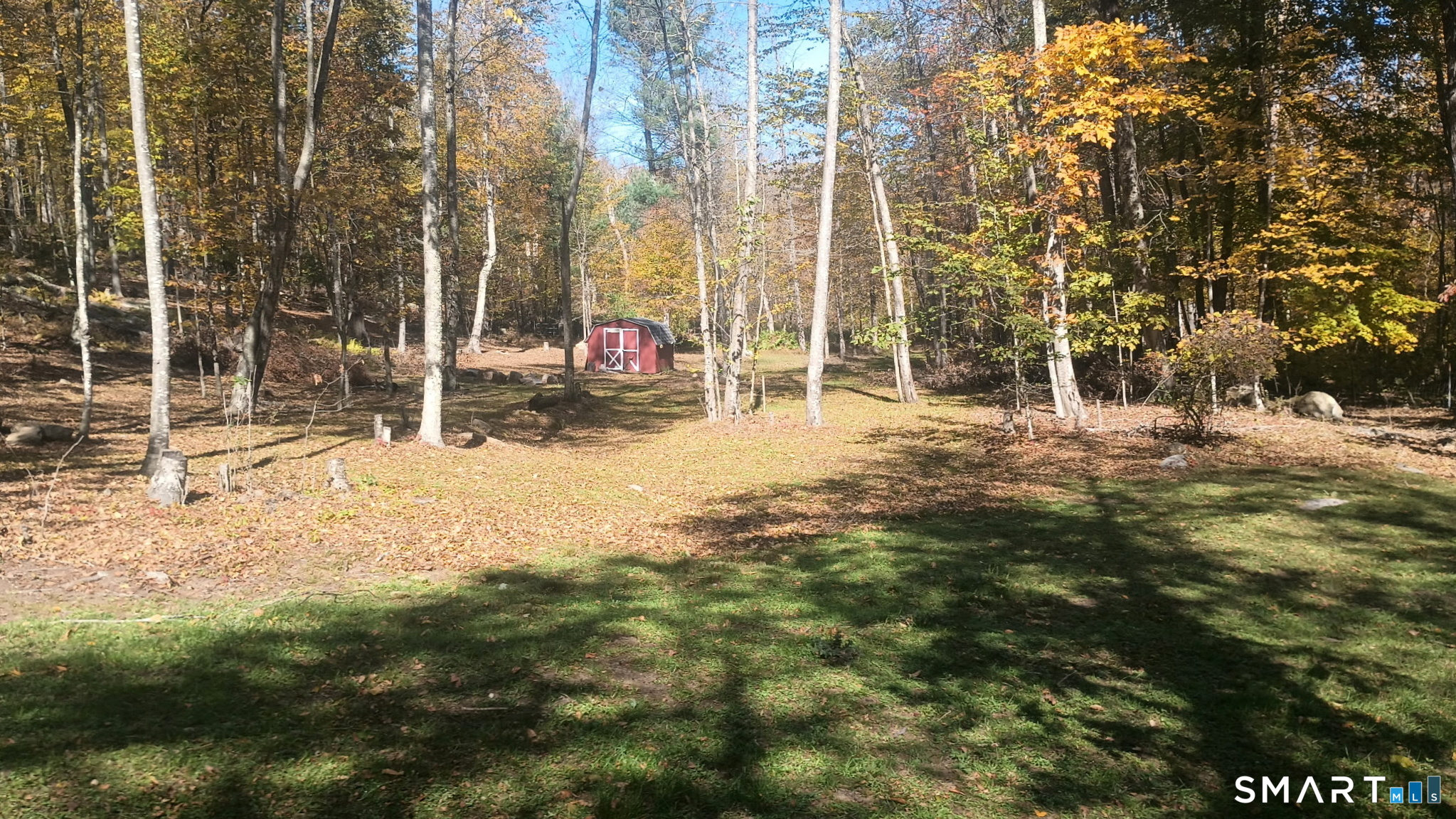 454 Providence Turnpike Hampton, CT 06247 - Photo 9 of 40 a view of a yard with trees