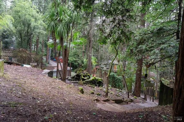 a view of a backyard with large trees