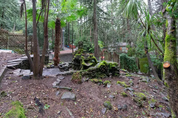 a view of a park with large trees