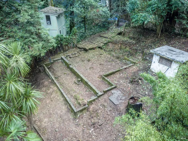a view of a yard with plants