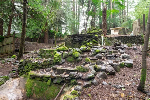 a view of a garden with a tree