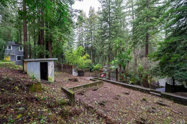 a view of a backyard with plants and large trees