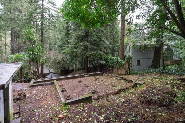 a view of a backyard with large trees and wooden fence