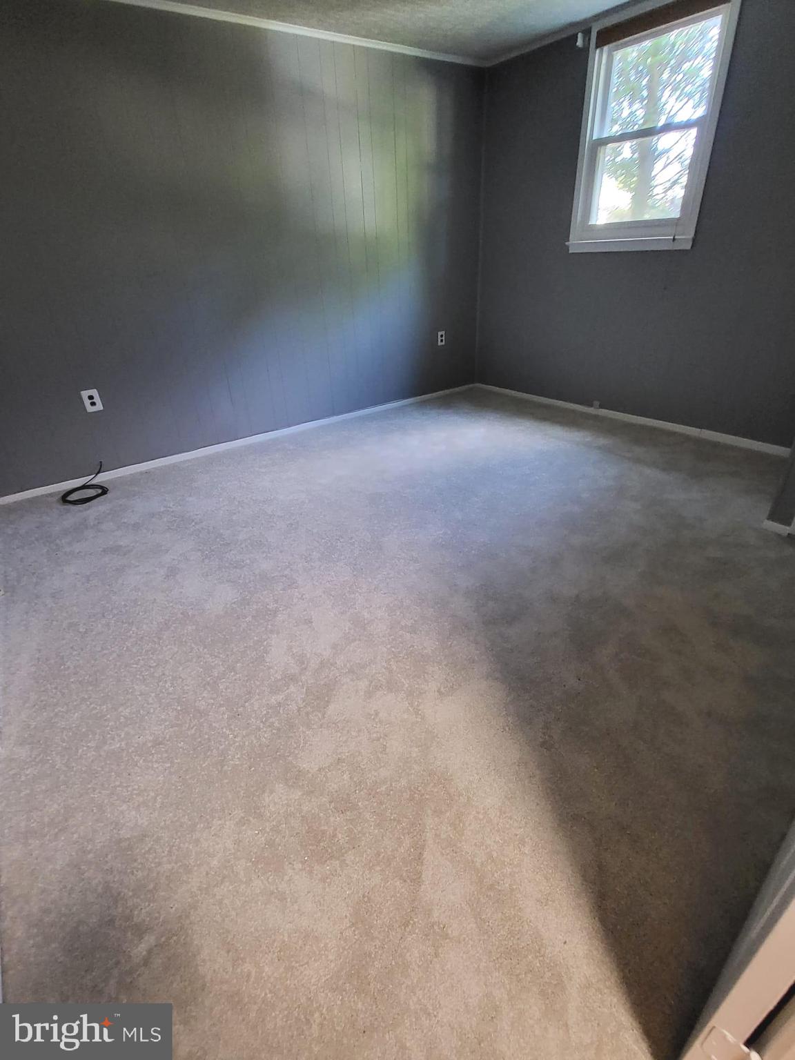 12217 Harbor Drive Woodbridge, VA 22192 - Photo 35 of 53 Bedroom #4/lower level