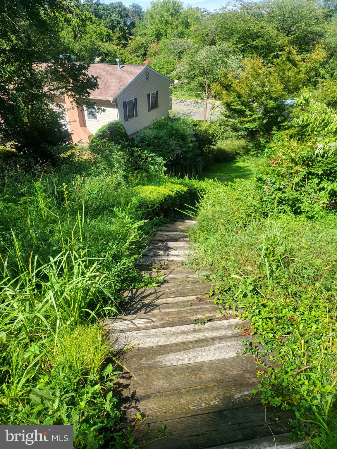 12217 Harbor Drive Woodbridge, VA 22192 - Photo 47 of 53 Steps to the backyard