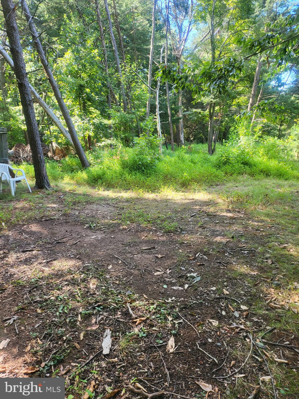 12217 Harbor Drive Woodbridge, VA 22192 - Photo 48 of 53 Backyard