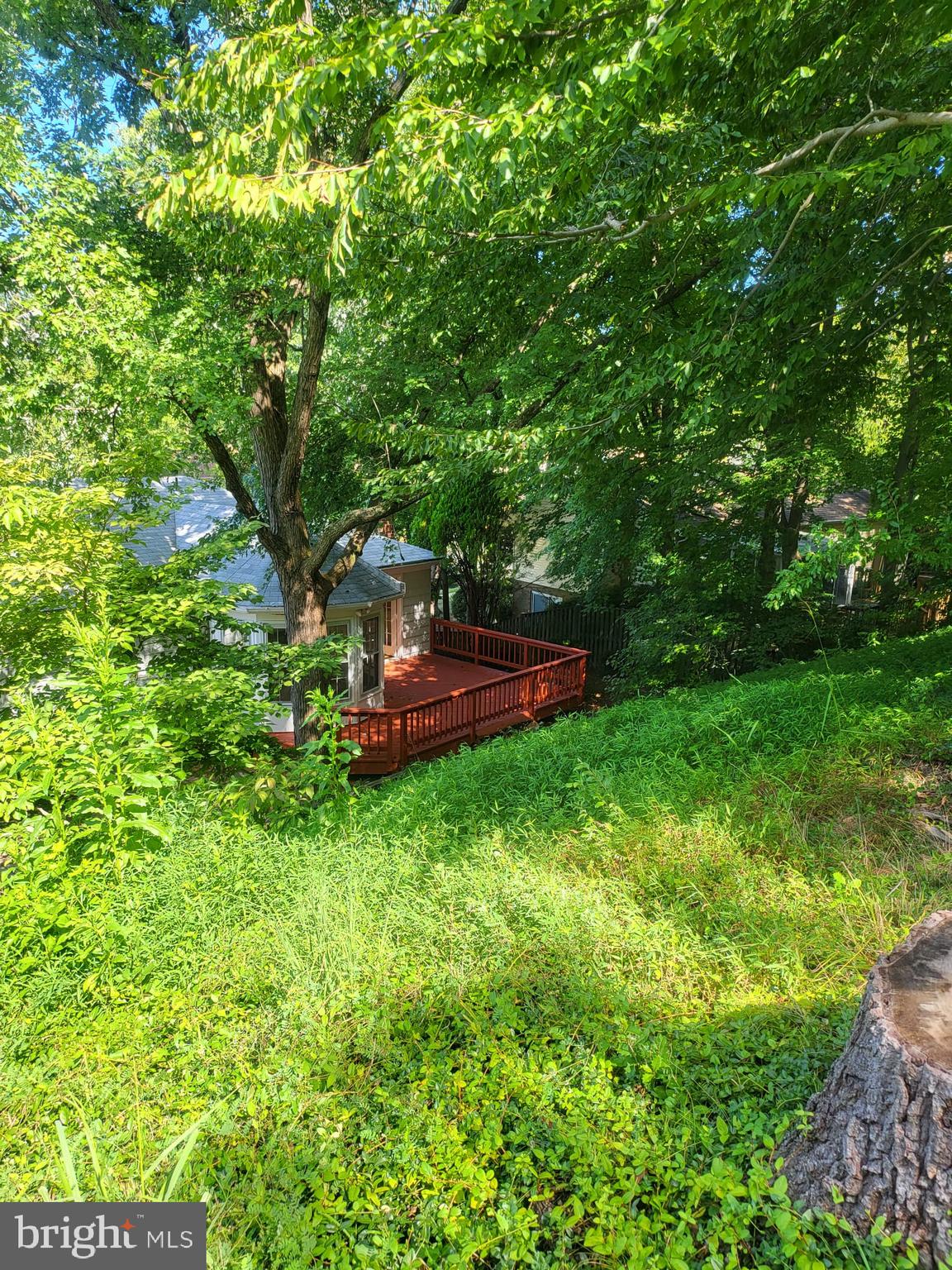 12217 Harbor Drive Woodbridge, VA 22192 - Photo 49 of 53 View from the backyard