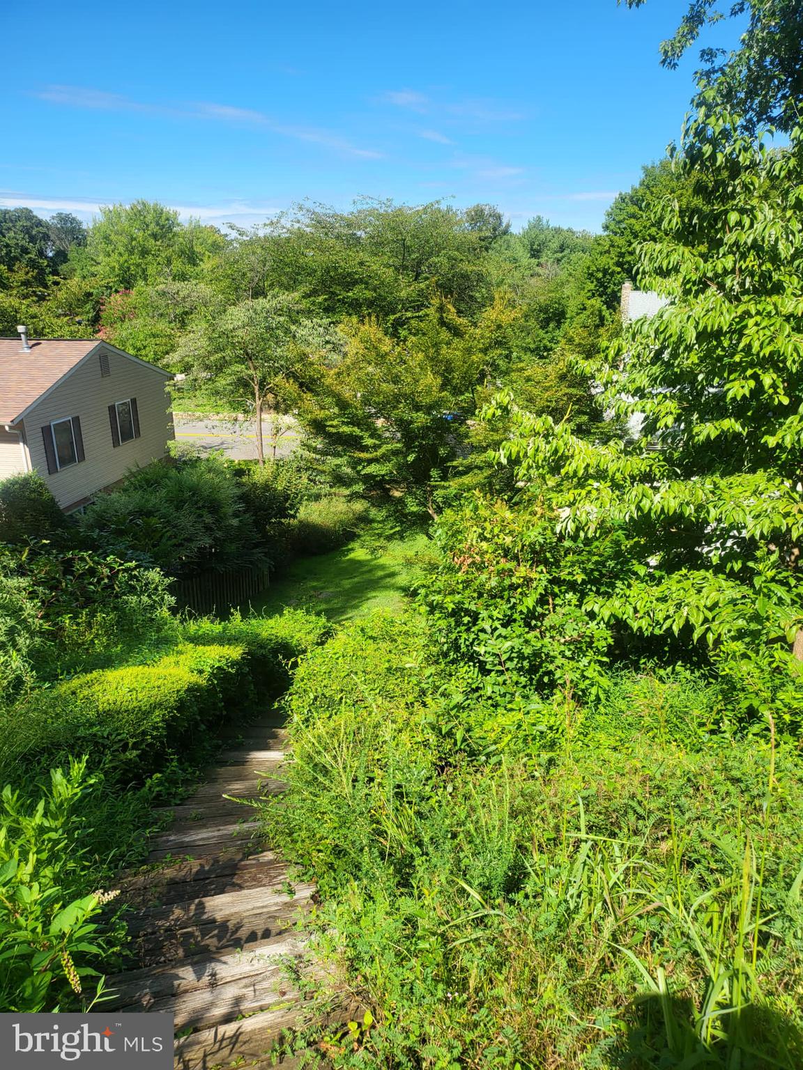 12217 Harbor Drive Woodbridge, VA 22192 - Photo 51 of 53 View from the backyard