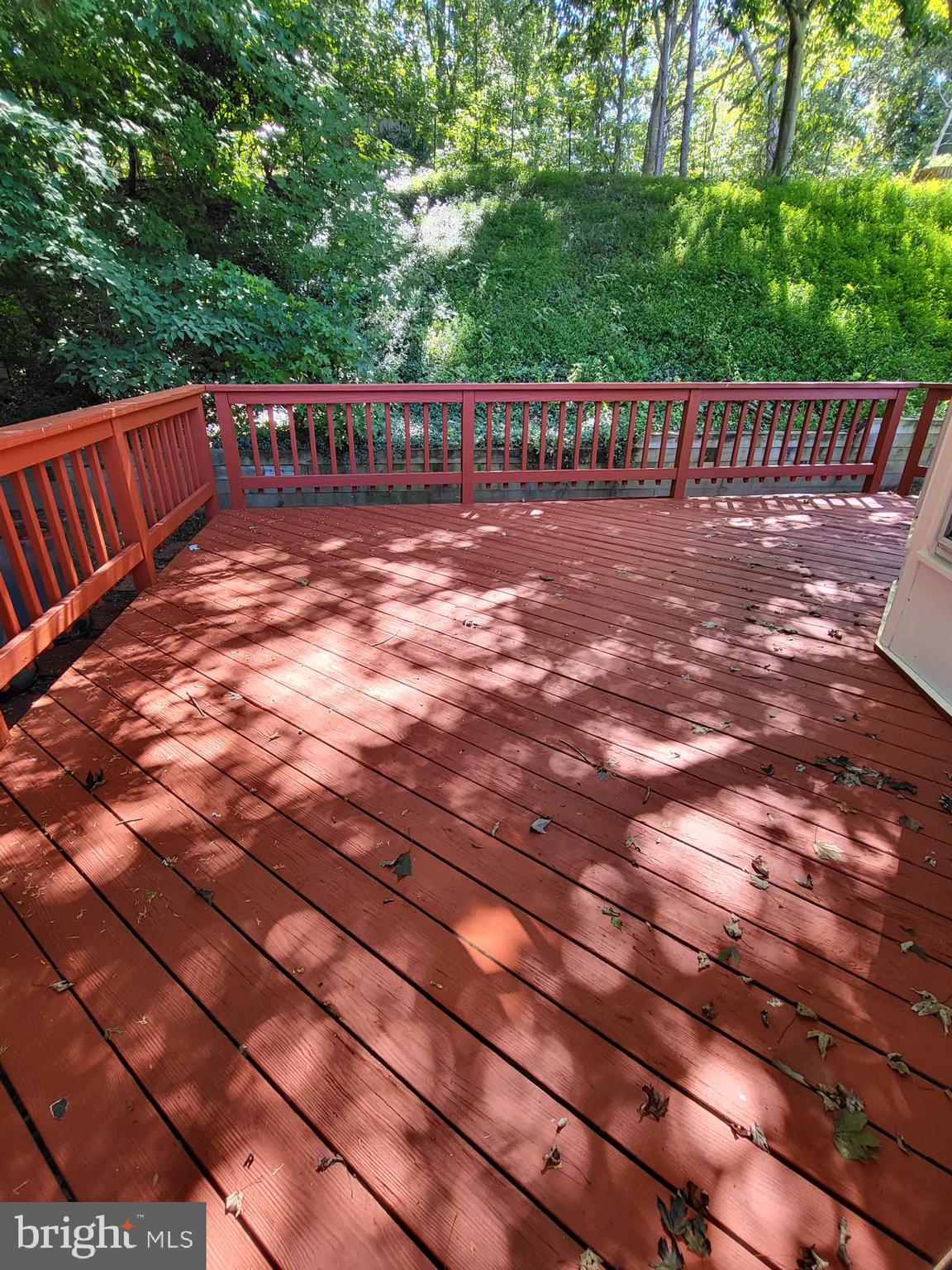 12217 Harbor Drive Woodbridge, VA 22192 - Photo 10 of 53 Freshly painted deck