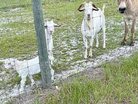 159 Old Starke Road Palatka, FL 32177 - Photo 7 of 13 a bird view of tall trees
