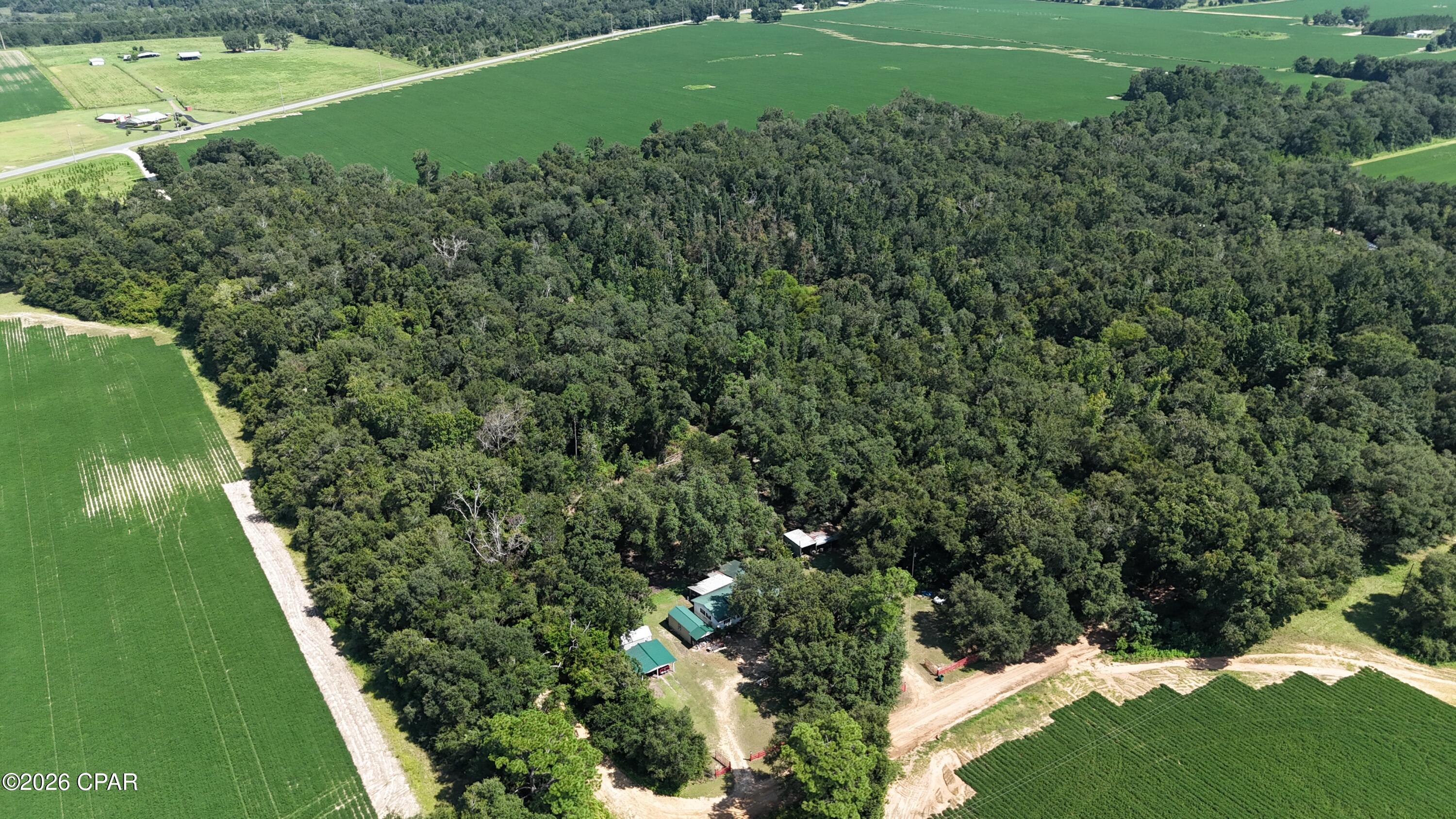 0 Conner Road Grand Ridge, FL 32442 - Photo 2 of 2 Gallery Image 2