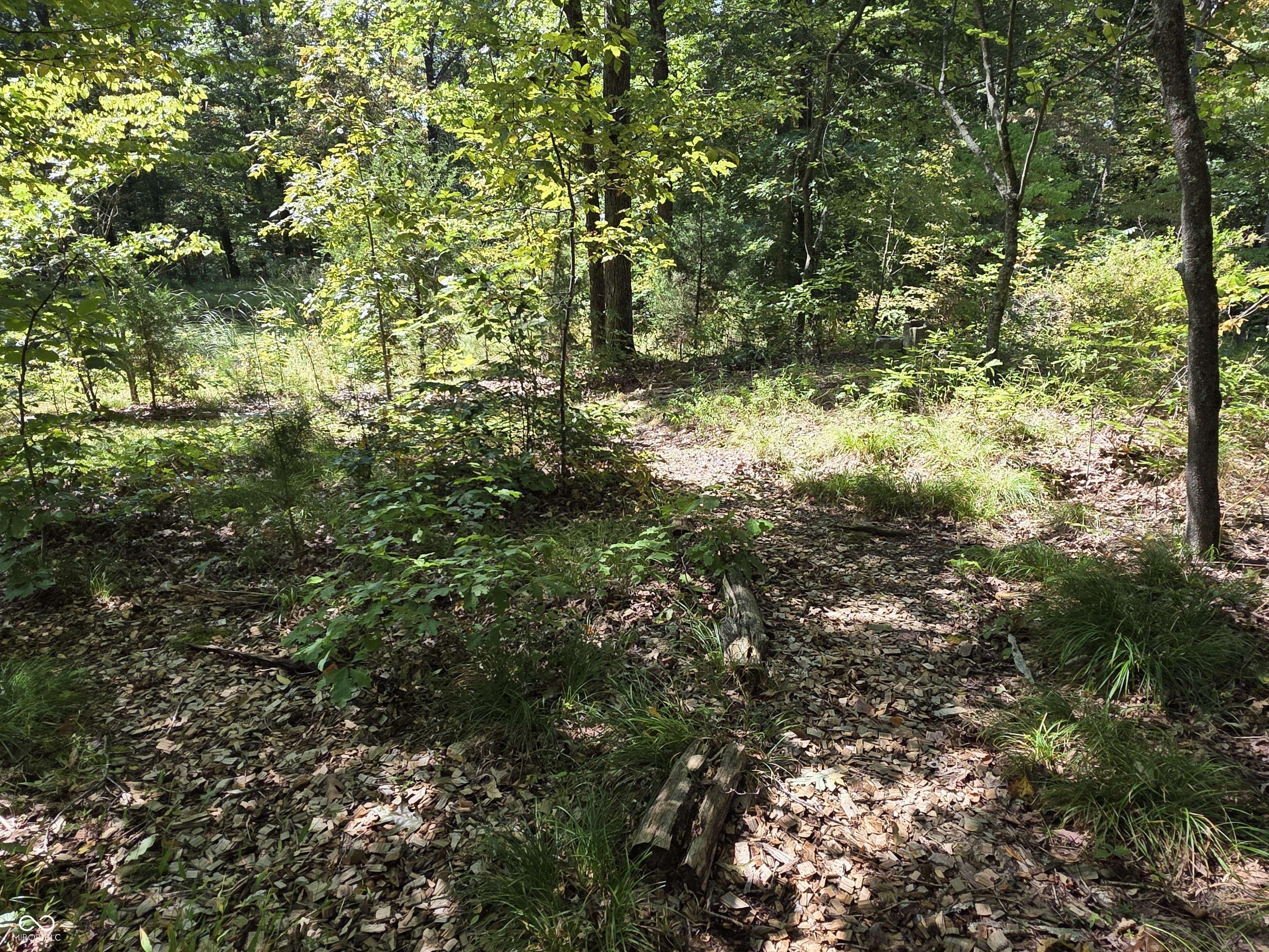 6368 Bluebird Trail Nashville, IN 47448 - Photo 72 of 108