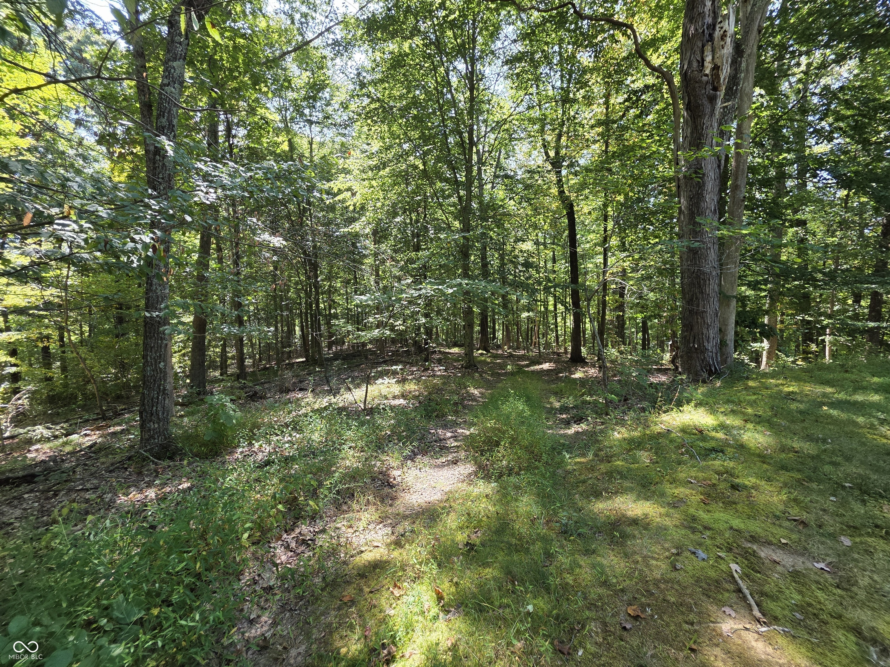 6368 Bluebird Trail Nashville, IN 47448 - Photo 73 of 108