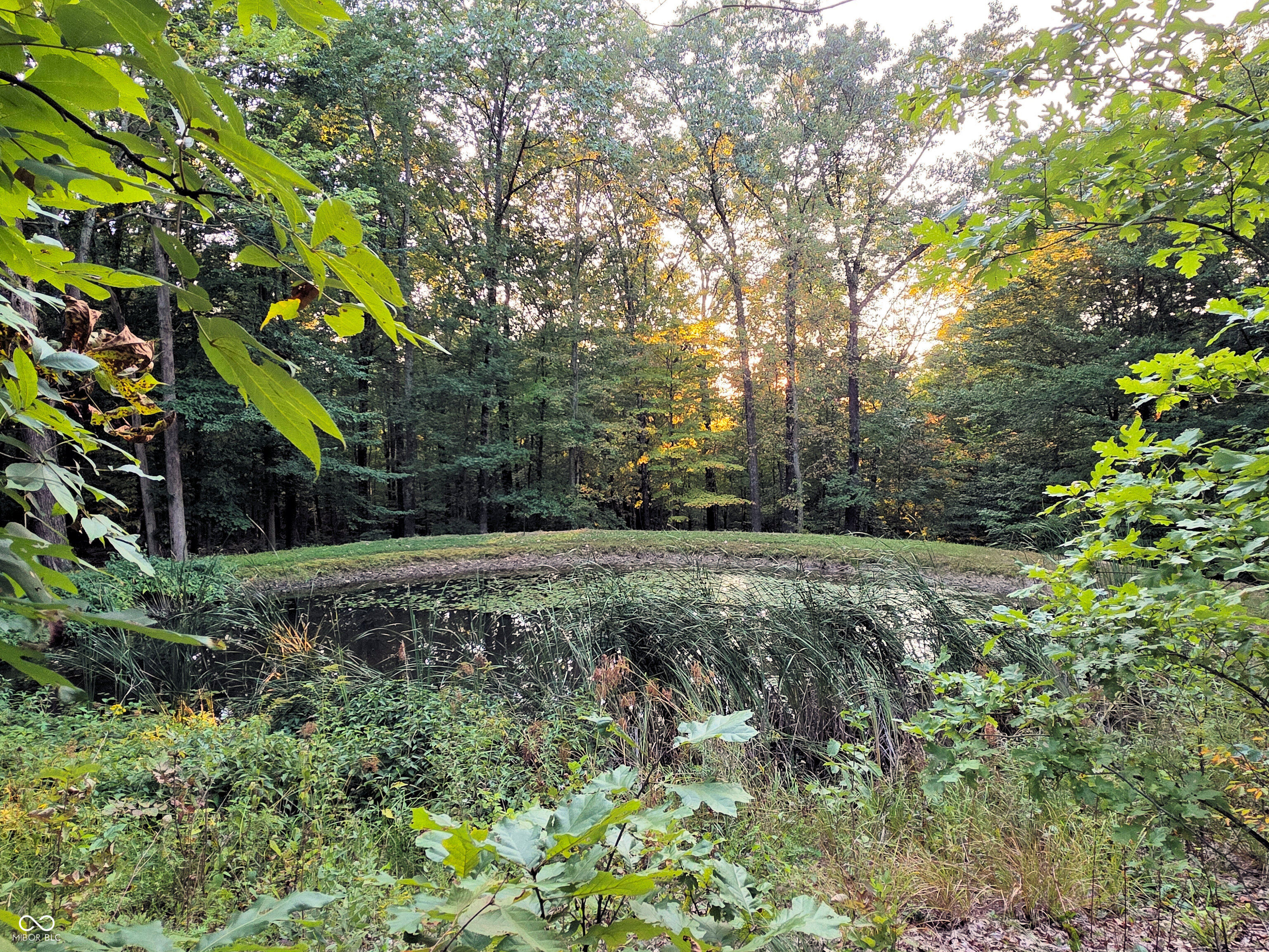 6368 Bluebird Trail Nashville, IN 47448 - Photo 77 of 108