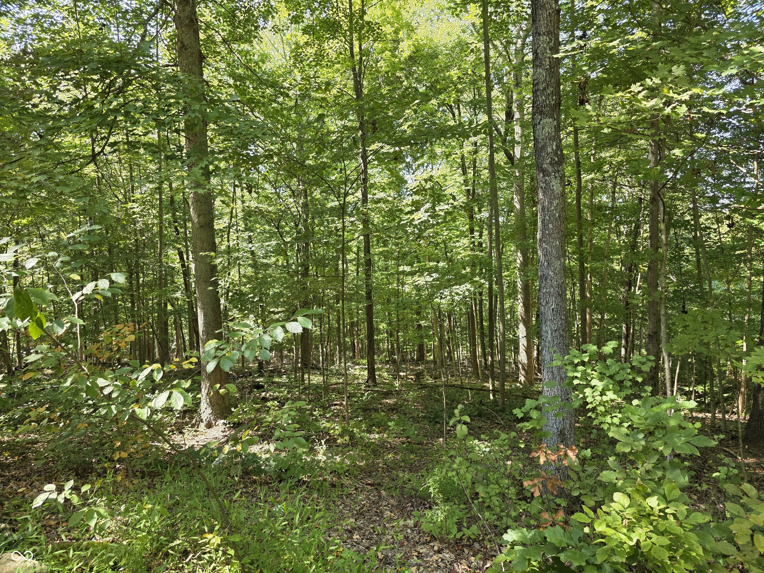 6368 Bluebird Trail Nashville, IN 47448 - Photo 82 of 108