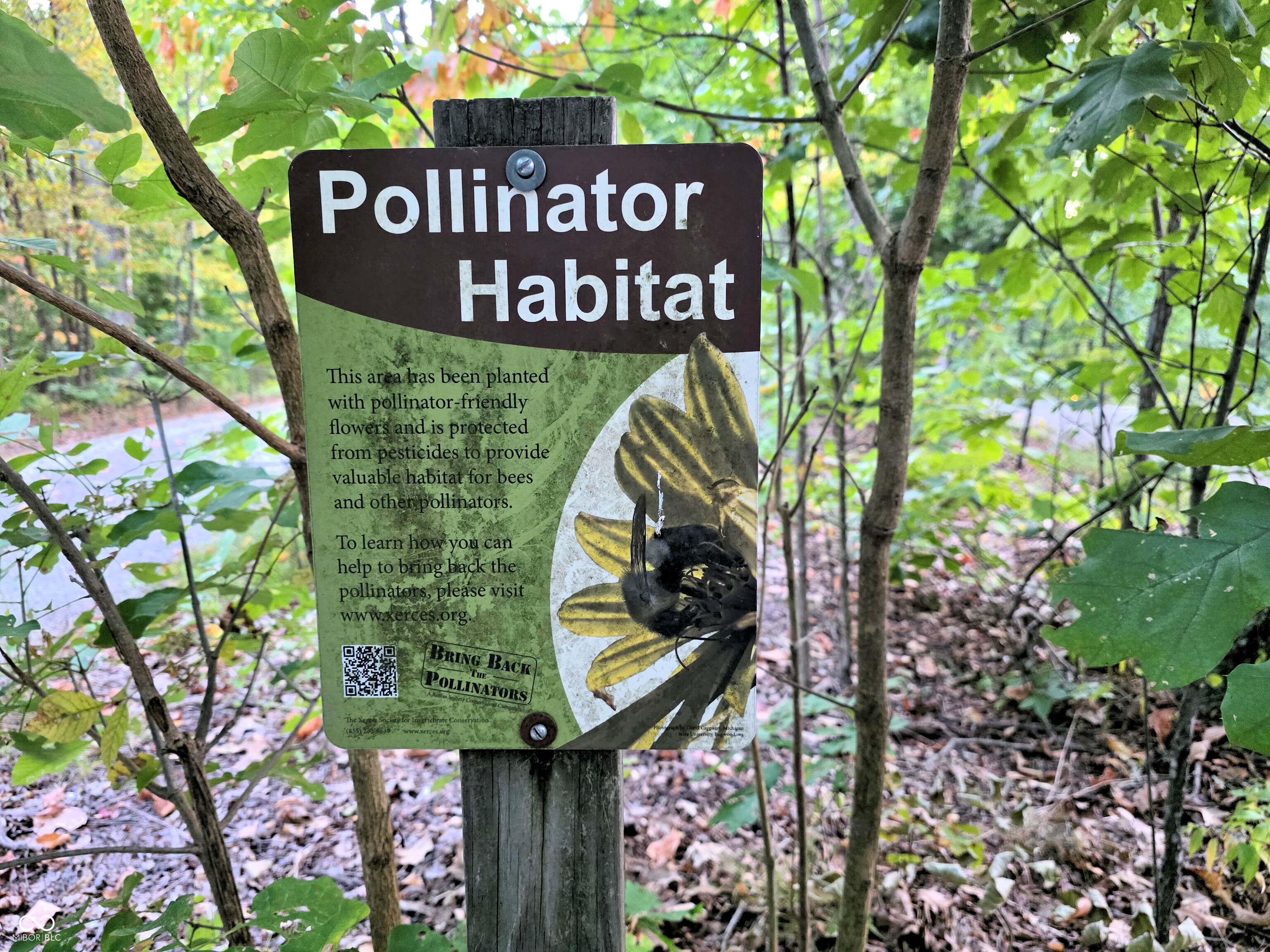 6368 Bluebird Trail Nashville, IN 47448 - Photo 85 of 108