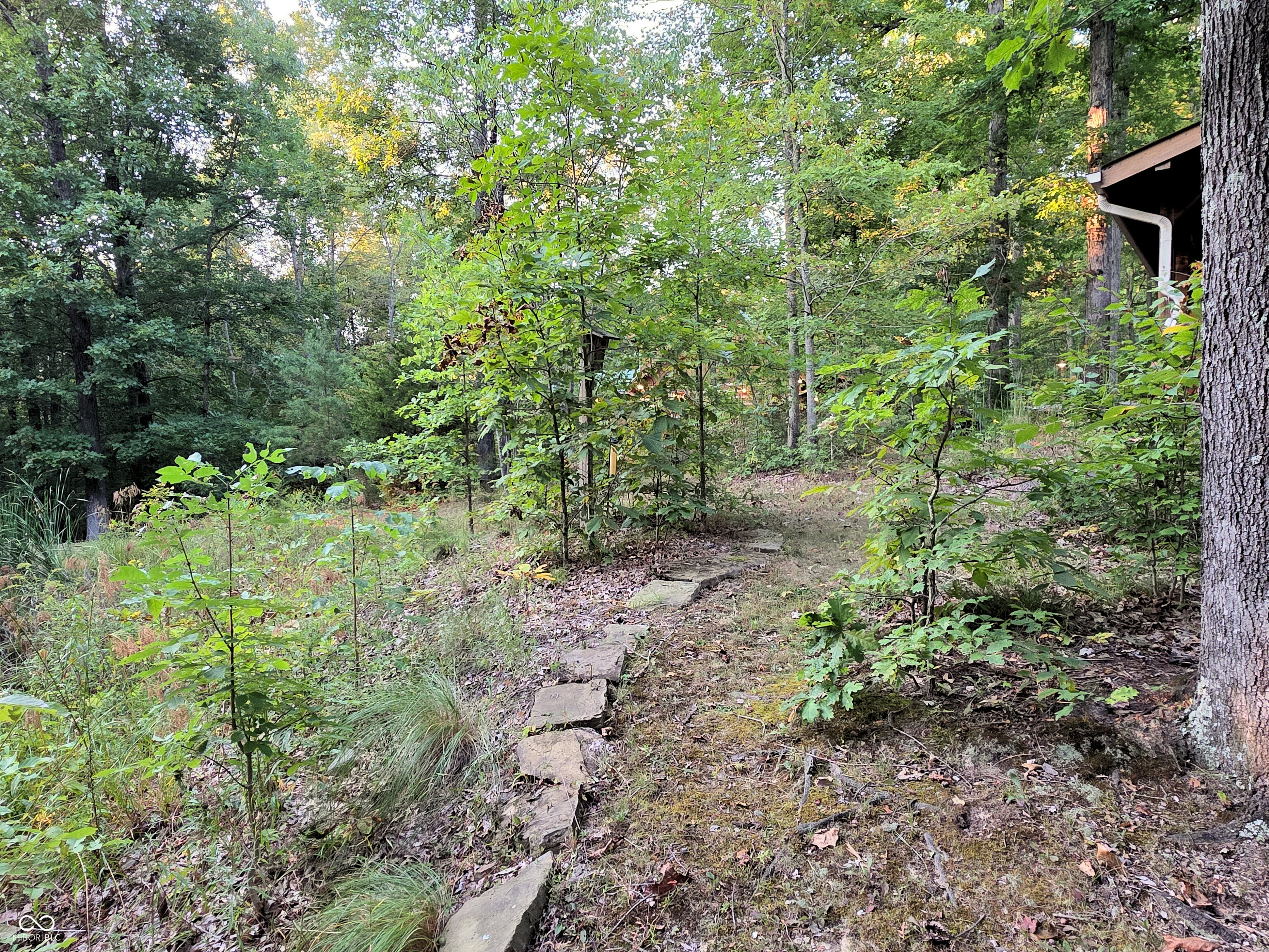 6368 Bluebird Trail Nashville, IN 47448 - Photo 88 of 108