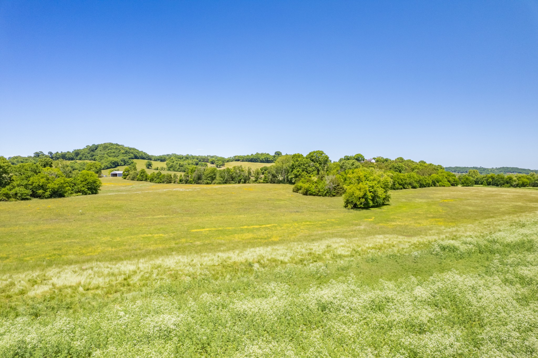 32 Hart Leonard Road Cornersville, TN 37047 - Photo 21 of 58 a view of an ocean from a city