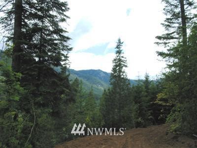 4 Pasco Road Cle Elum, WA 98922 - Photo 1 of 1 Gallery Image 1