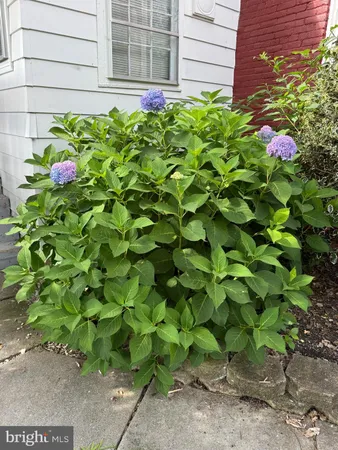a view of a house with a small yard