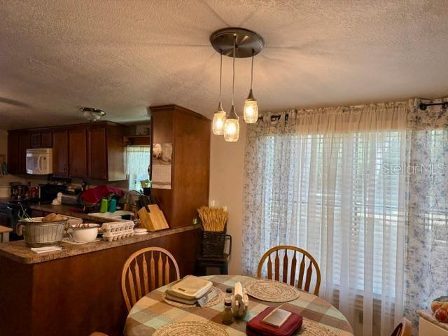 11340 Southwest 28th Way Webster, FL 33597 - Photo 18 of 34