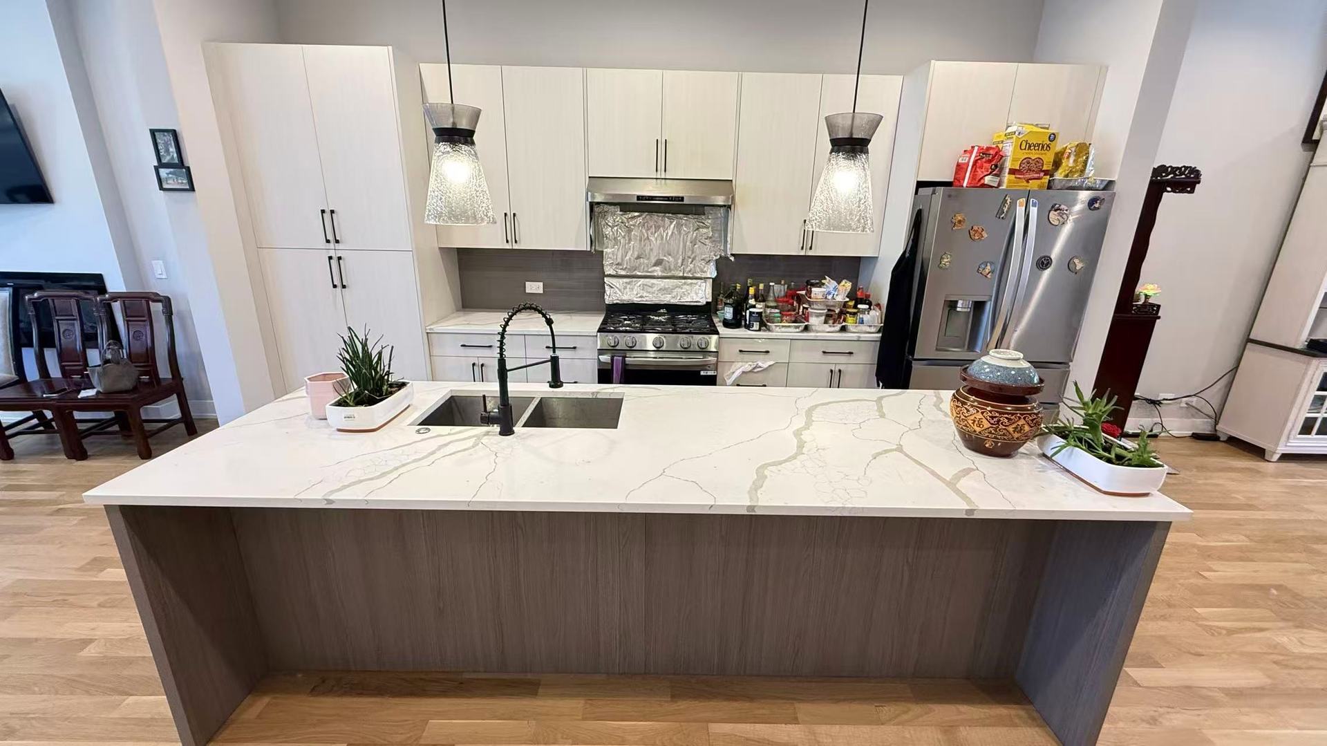 2921 South Farrell Street Chicago, IL 60608 - Photo 12 of 30