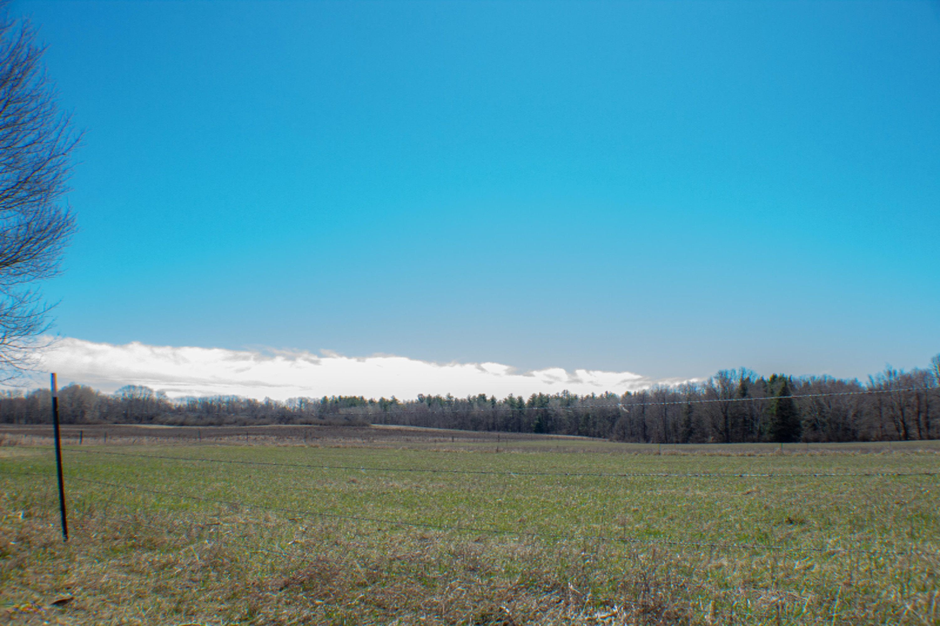 7740 Old State Road Stanwood, MI 49346 - Photo 20 of 25 IMG_5046