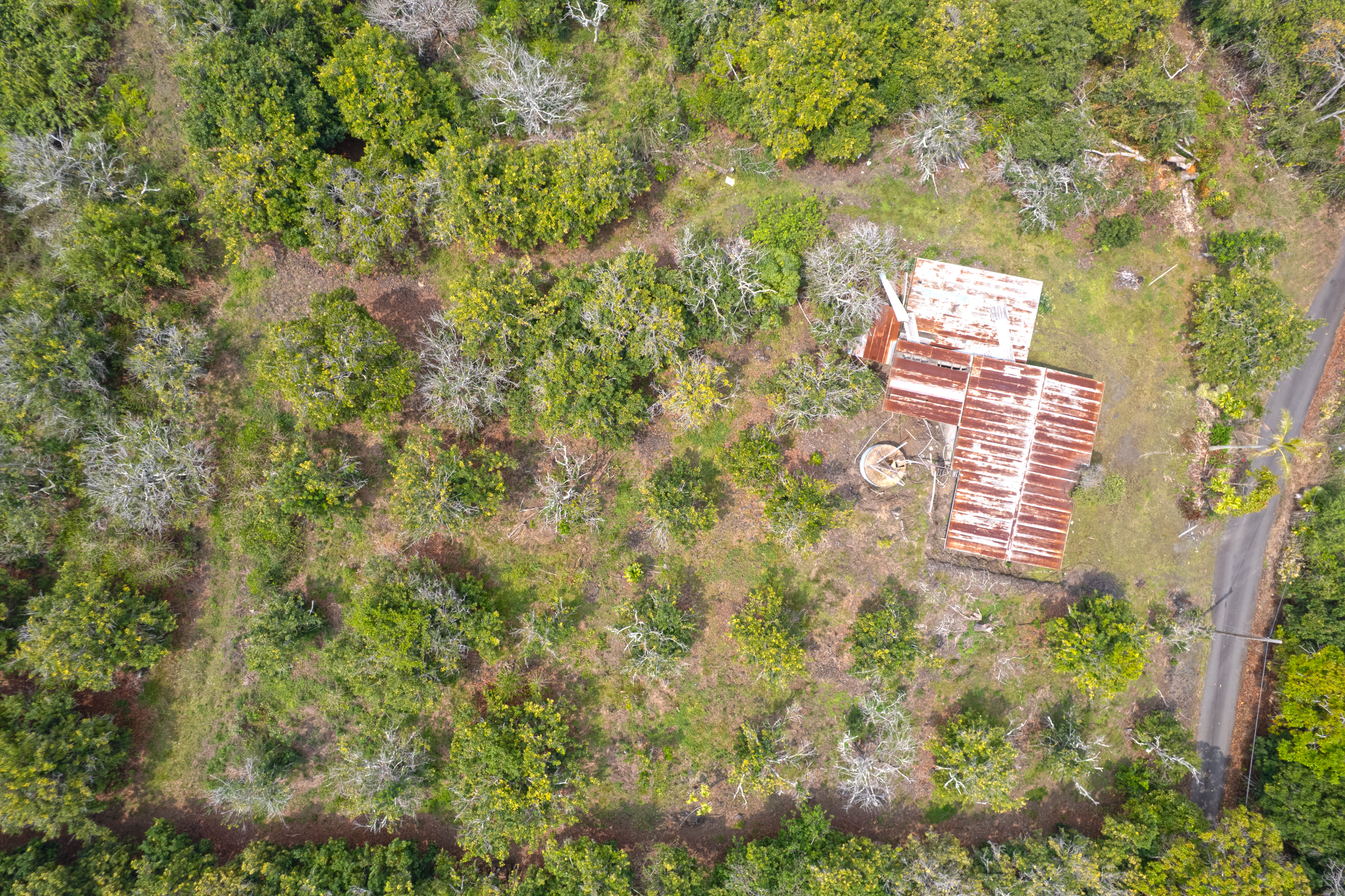 88-2800 Papa Homestead Road Captain Cook, HI 96704 - Photo 11 of 13