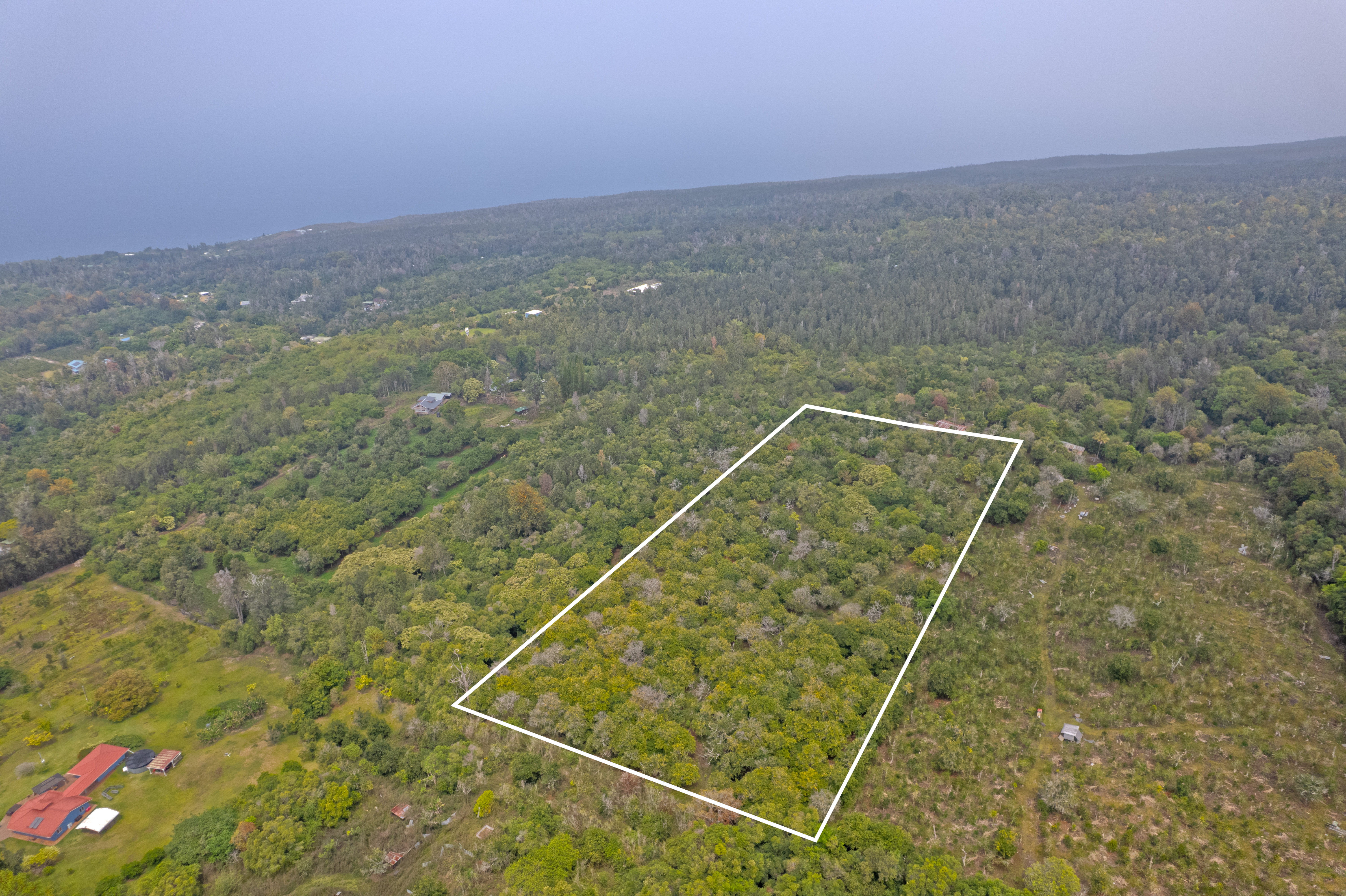 88-2800 Papa Homestead Road Captain Cook, HI 96704 - Photo 5 of 13