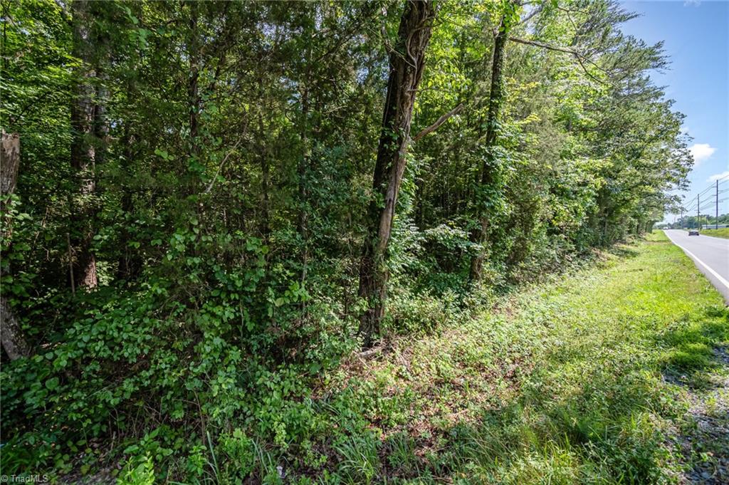 0 Old County Farm Road Sophia, NC 27350 - Photo 4 of 12 Gallery Image 4