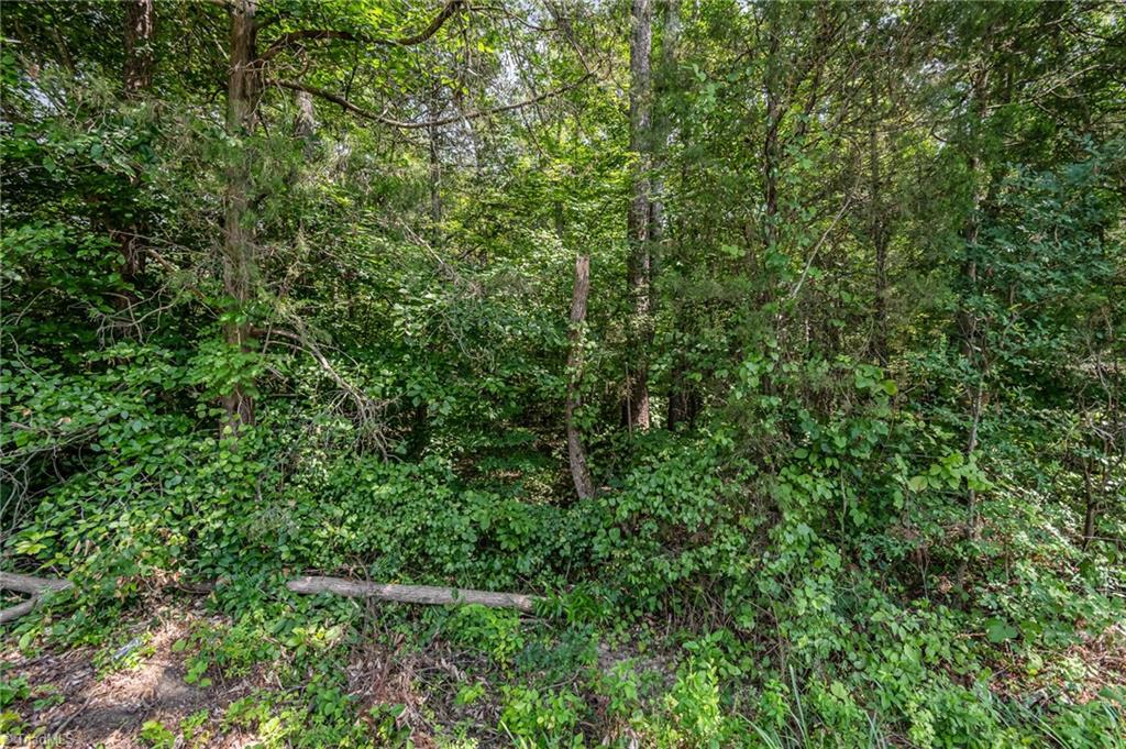 0 Old County Farm Road Sophia, NC 27350 - Photo 5 of 12 Gallery Image 5