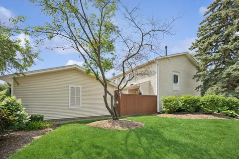 a backyard of a house with plants and large tree