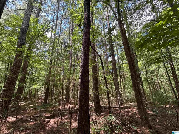 $265,000 | 0 County Road 42, Unit 90 / ACRES, Oneonta, AL 35121