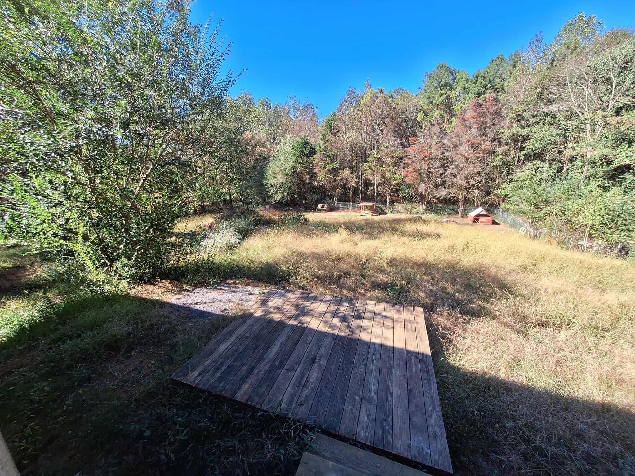 5111 Mark Brown Road Northeast Dalton, GA 30721 - Photo 26 of 26 554662269_1176489261078517_6804791674671